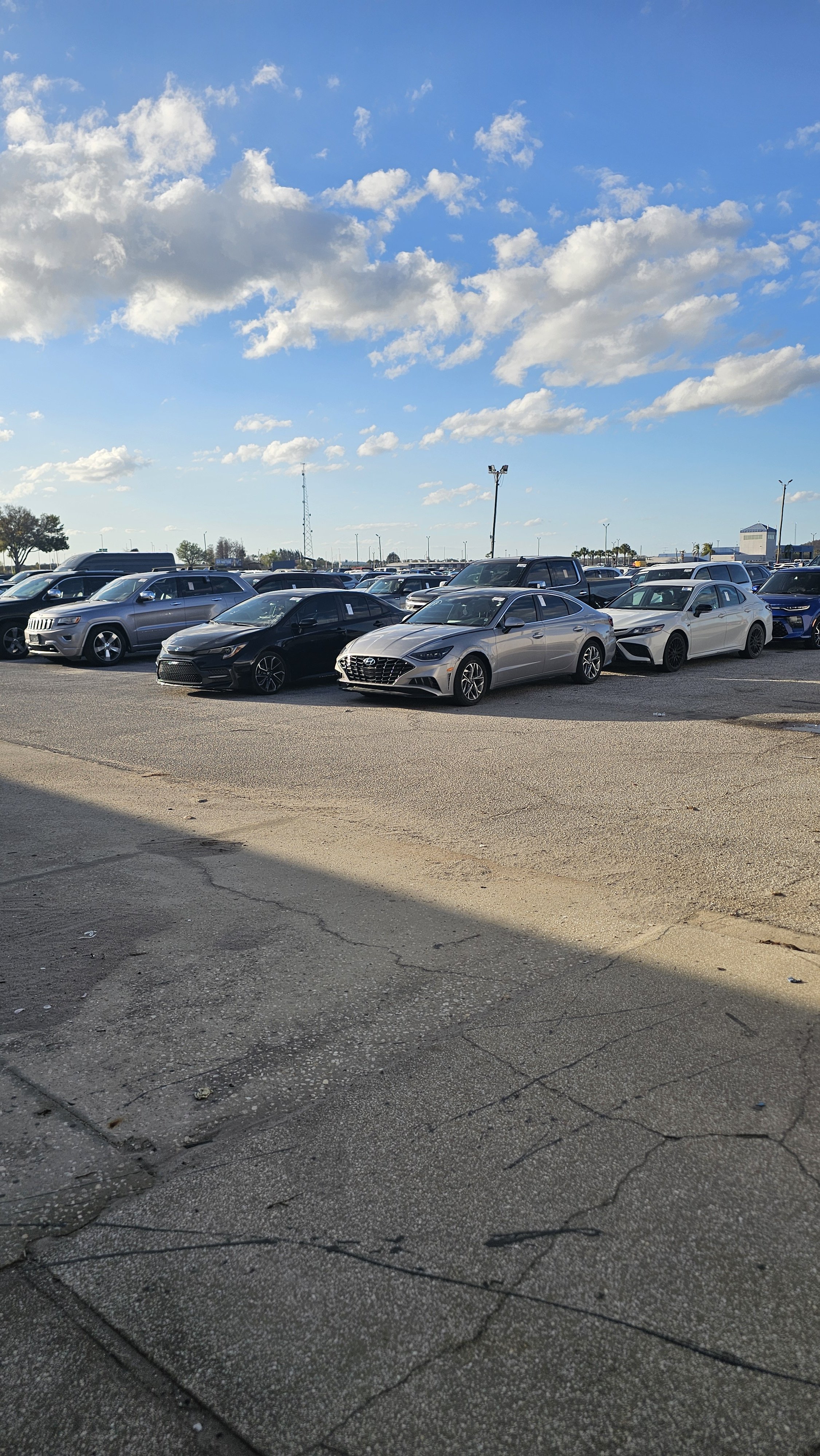 CFAA - Central Florida