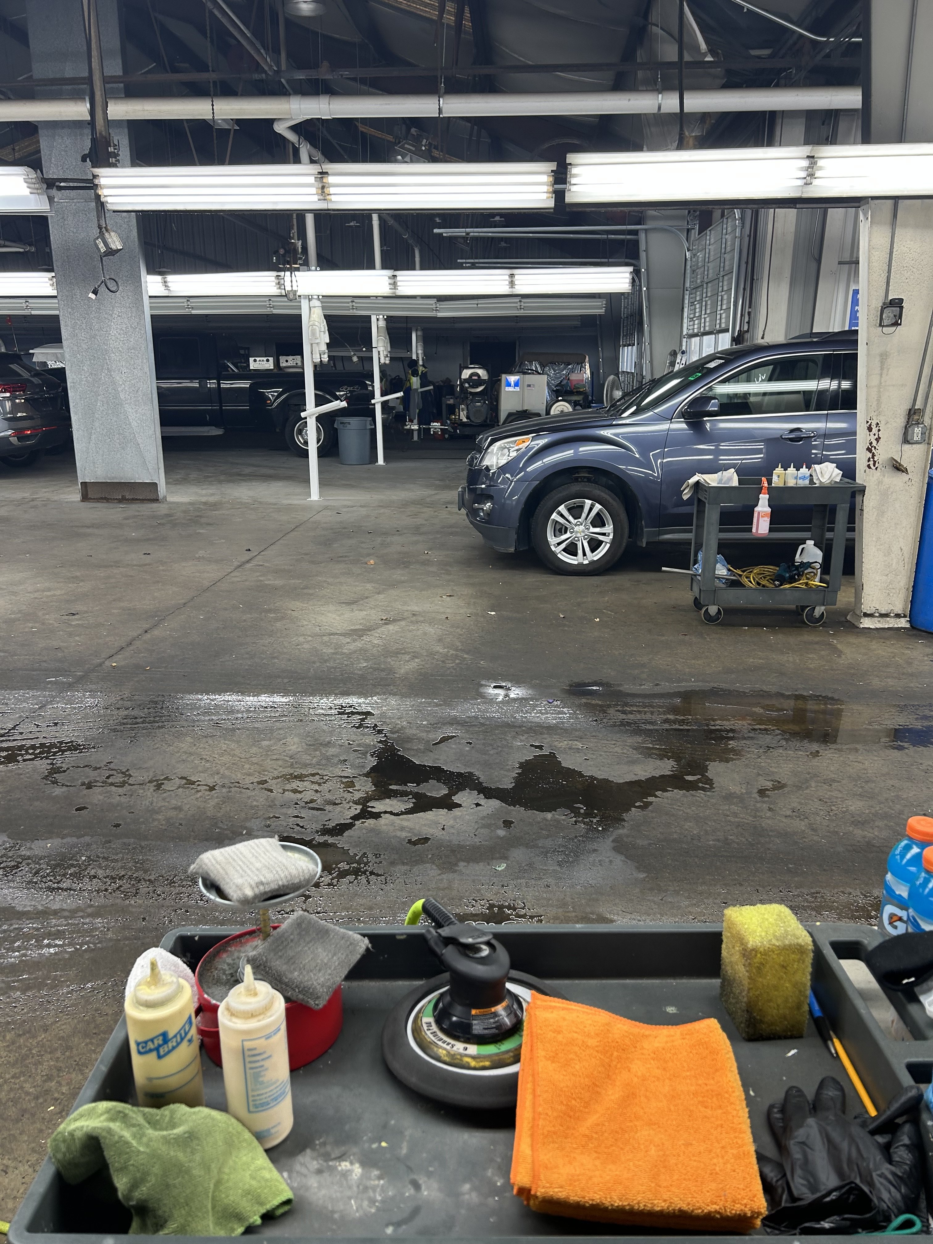 CAAI - South Carolina