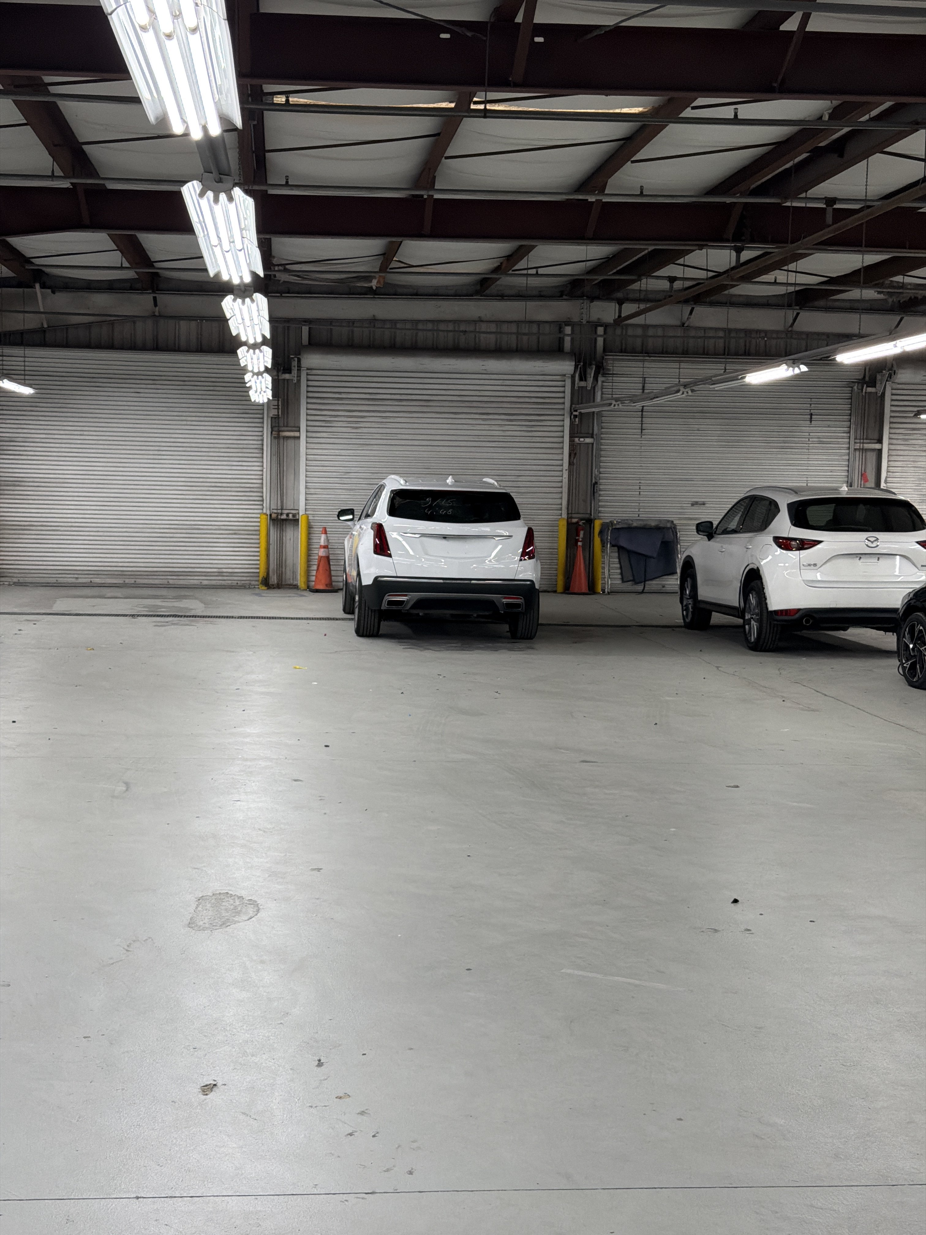 CFAA - Central Florida