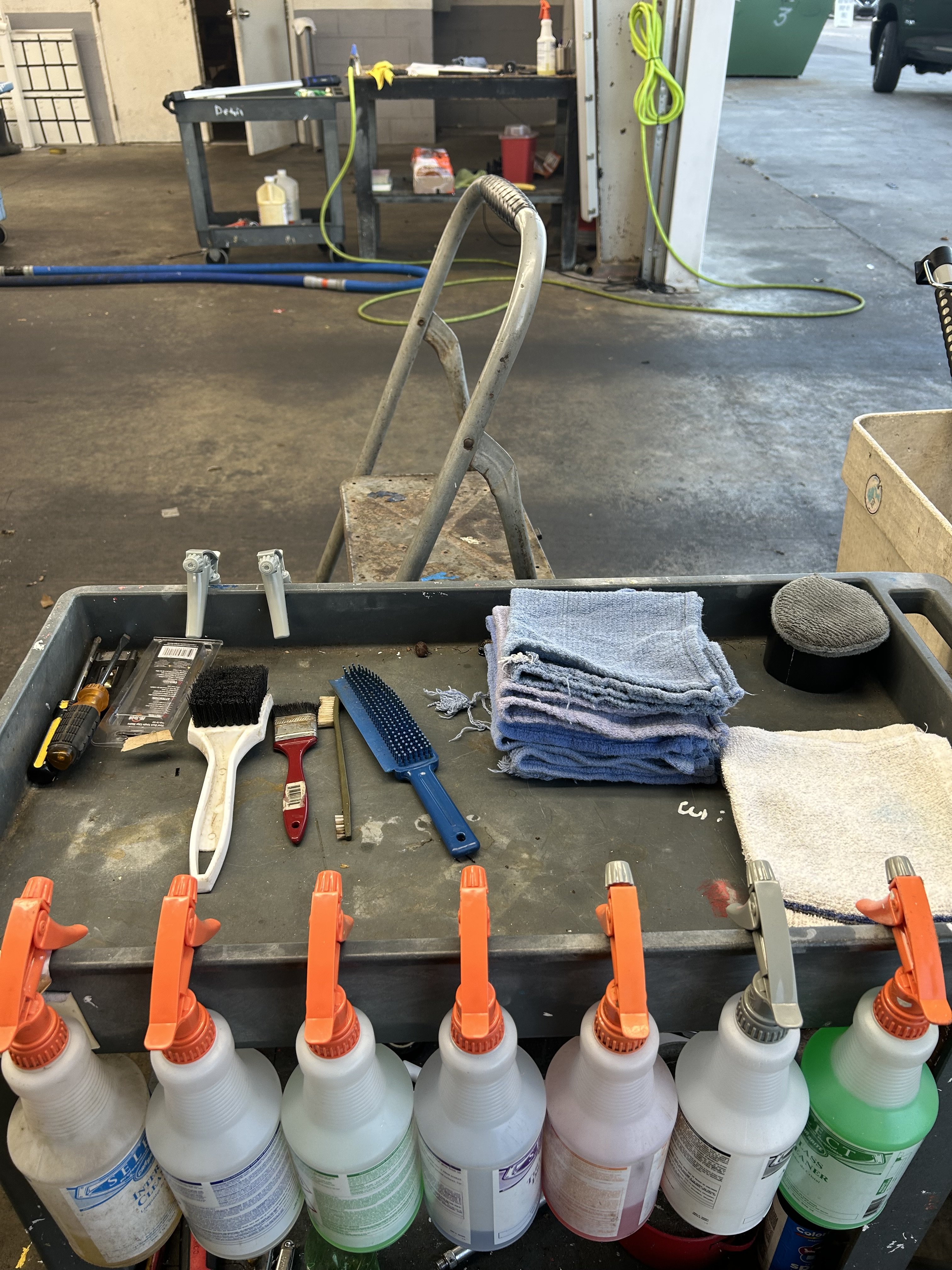 CAAI - South Carolina