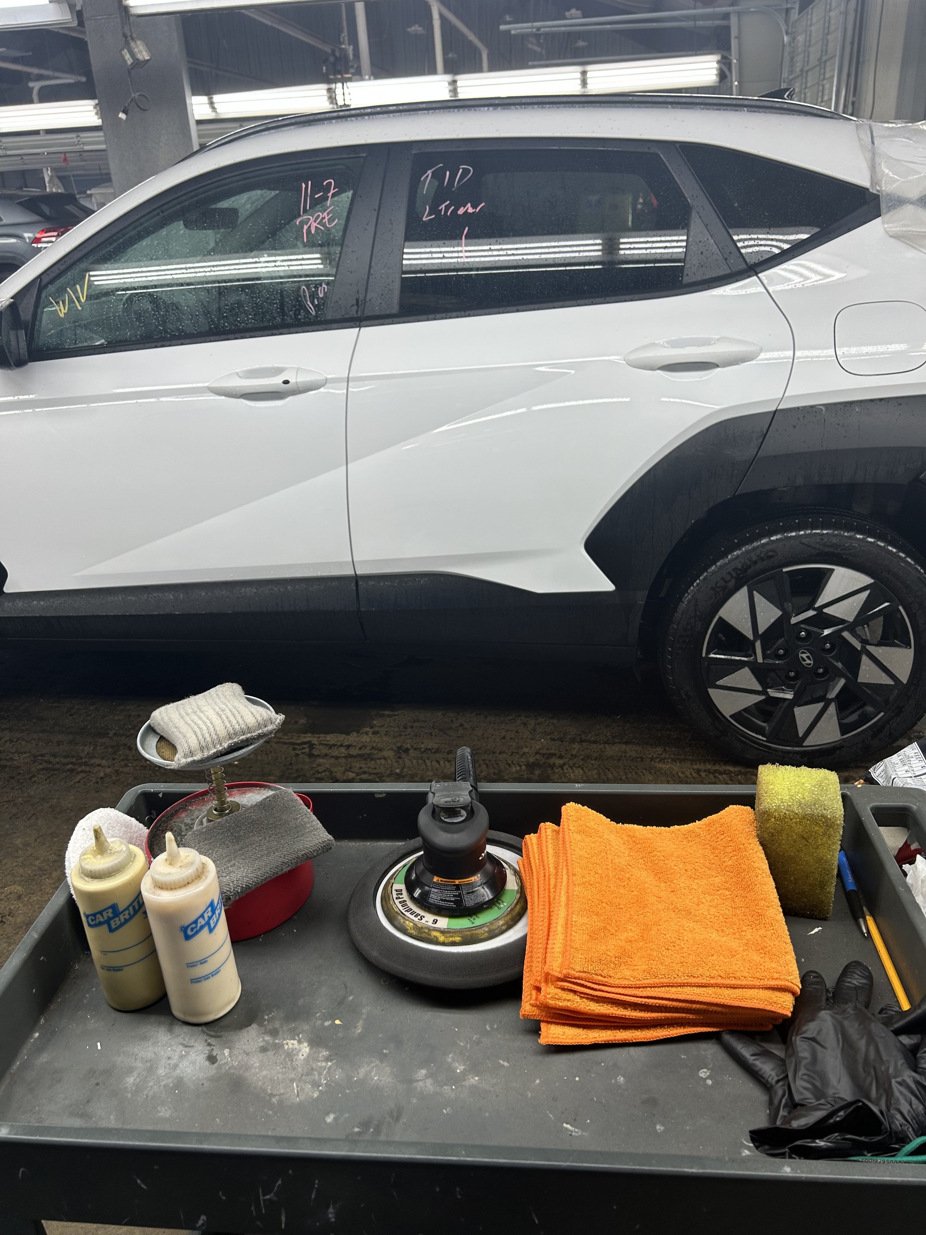 CAAI - South Carolina