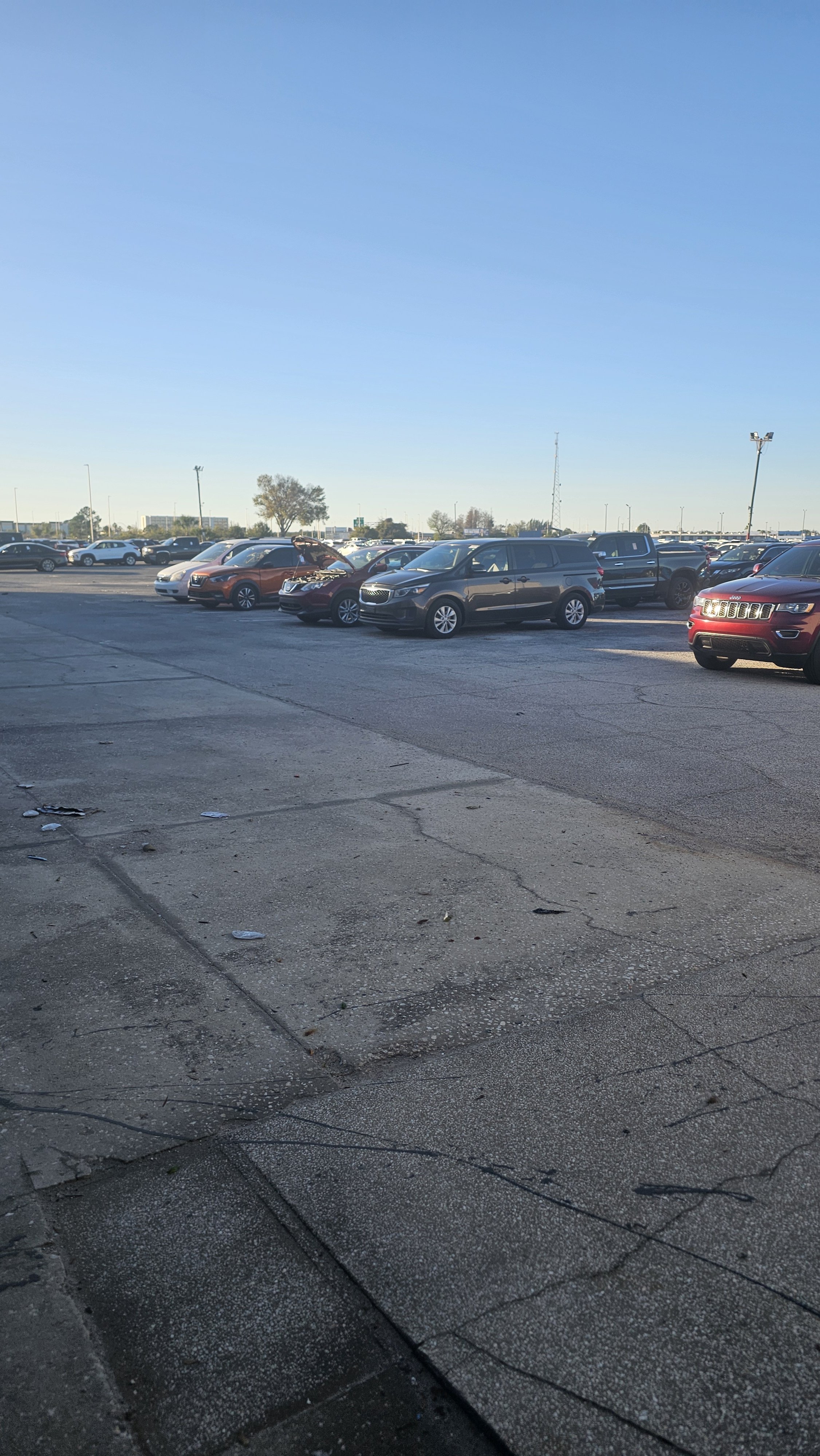 CFAA - Central Florida