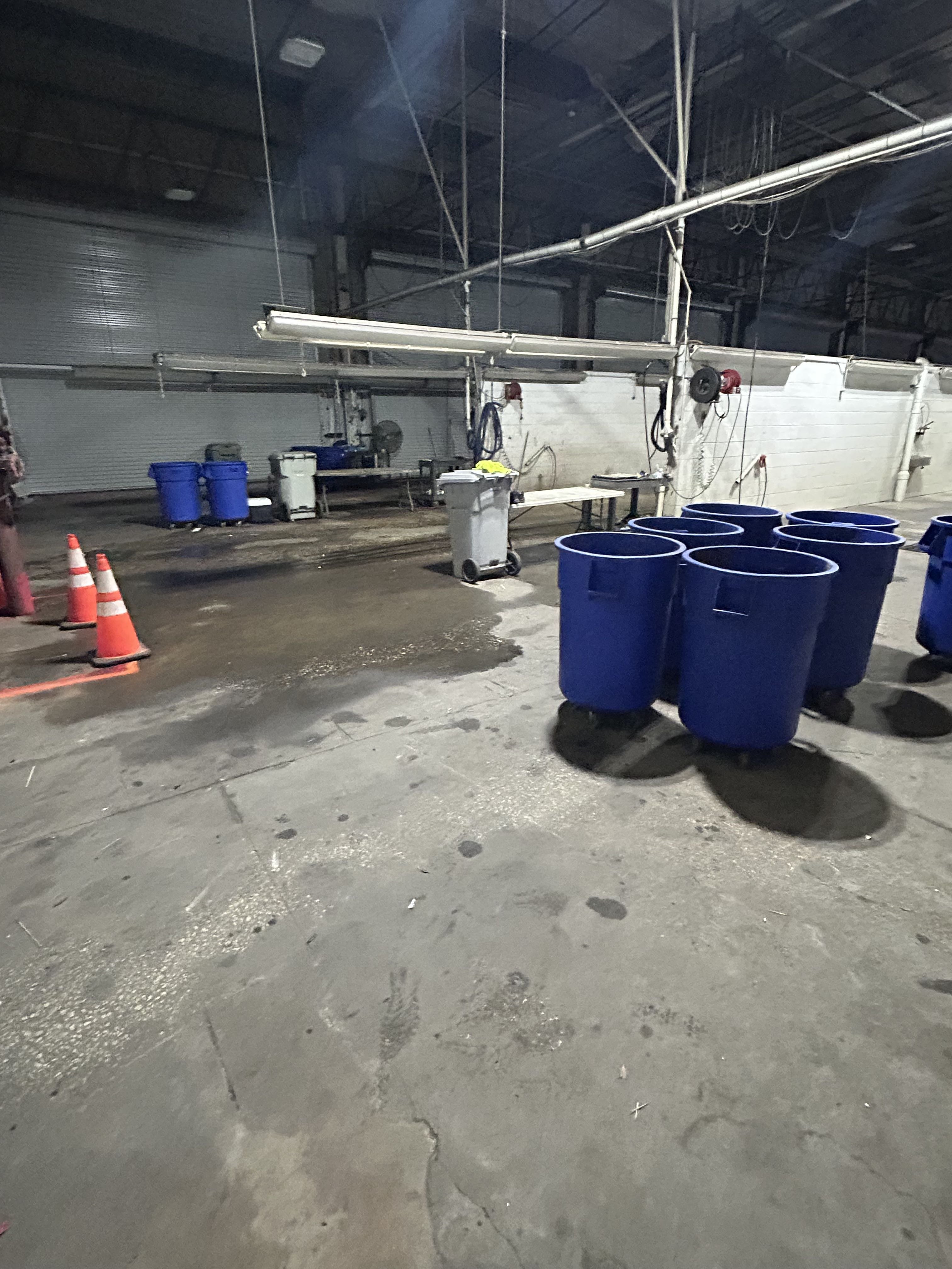 CFAA - Central Florida North